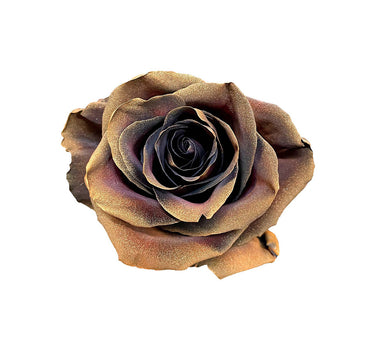 Earthworm Tinted Roses Gift Box