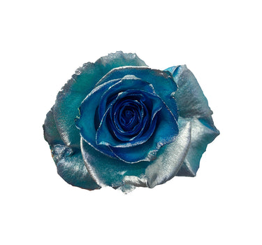 Elsa Kid's Collection Tinted Roses Gift Box