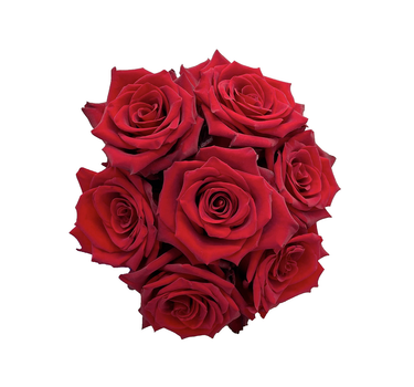 Red Roses Gift Box