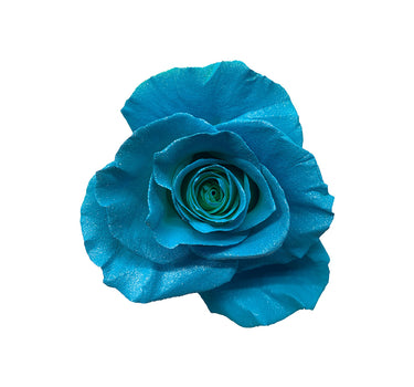 Frozen Tinted Roses Gift Box