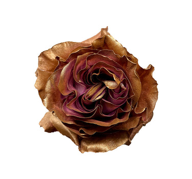 Golden Beet Tinted Roses Gift Box