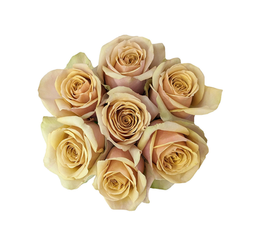 Golden Roses Gift Box