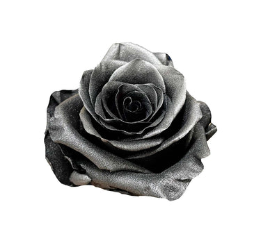 Metallic Black Tinted Roses Gift Box