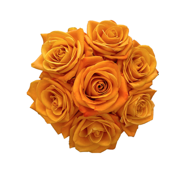 Orange Roses Gift Box