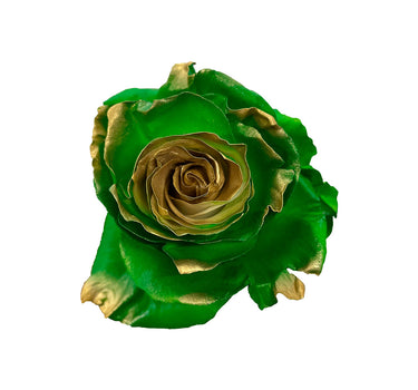 Pádraig Sona Tinted Roses Gift Box