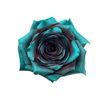 Peacock Tinted Roses Gift Box