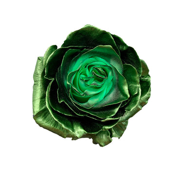 Pearl Olive Green Tinted Roses Gift Box