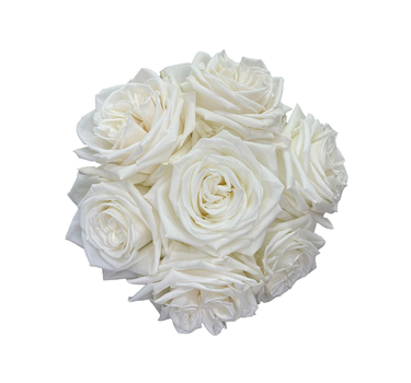 White Roses Gift Box