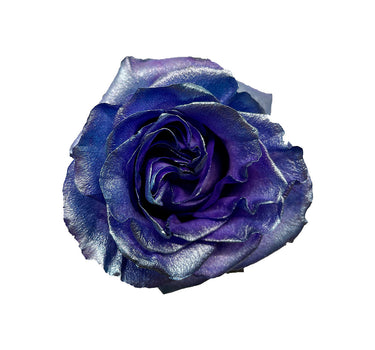 Presidential Blue Tinted Roses Gift Box