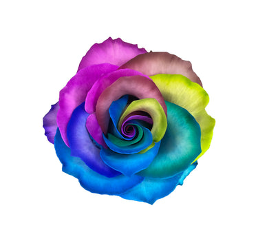 Rainbow Classic Tinted Roses Gift Box