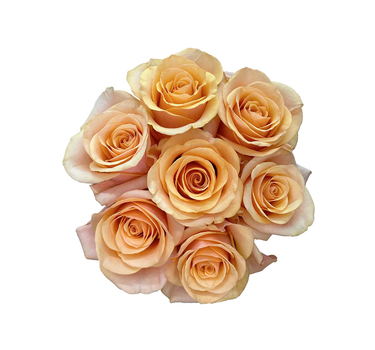 Peach Roses Gift Box