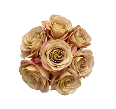 Bulk Symbol Rose