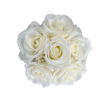 White Roses Gift Box